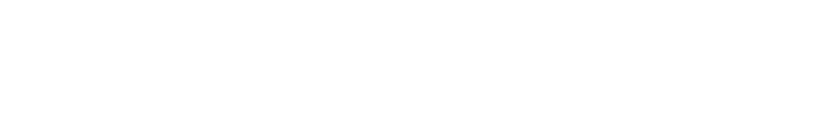 Wirral Council